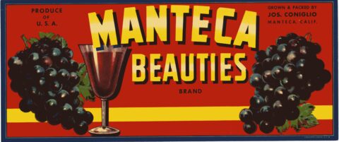 Manteca Beauties